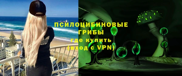 хмурый Алексеевка