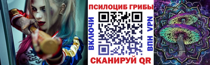Псилоцибиновые грибы Psilocybe  Кудрово 